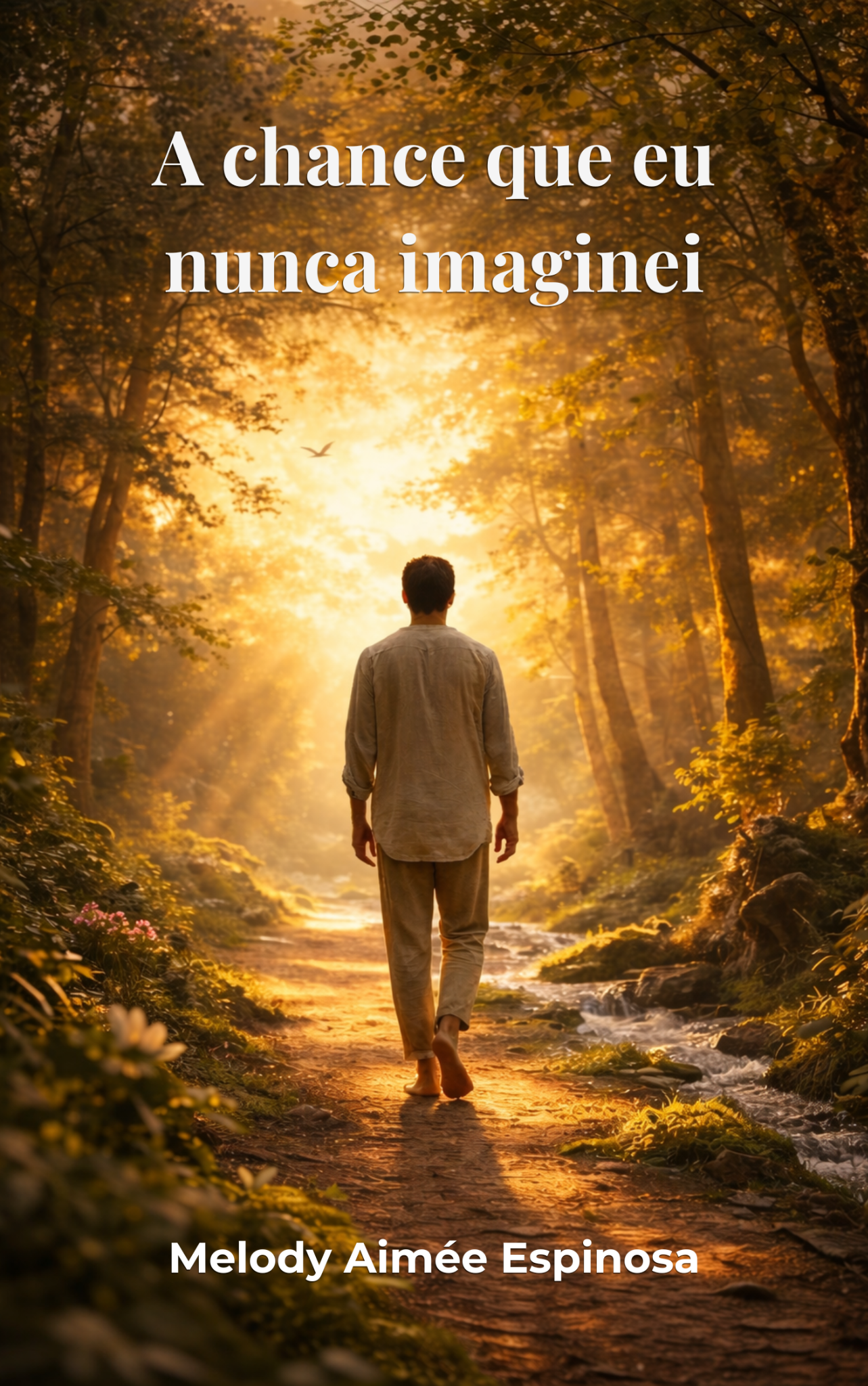 Capa do livro A chance que eu nunca imaginei